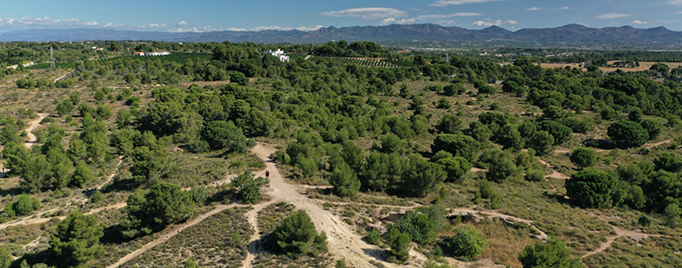 Lee más sobre el artículo Conoce NATURA GODELLA